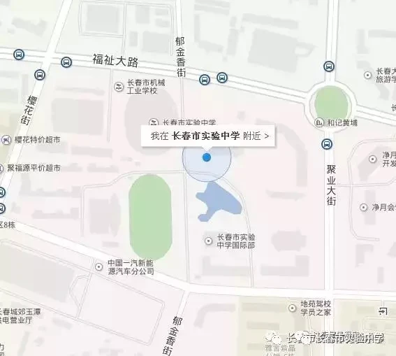 篮球训练自我总结200字_2